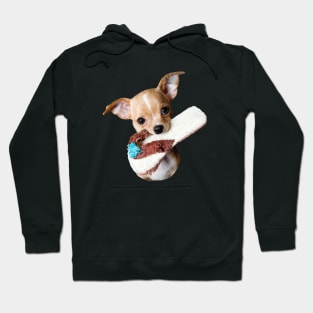 Cute dog: Dog playing with a flip flop Hoodie